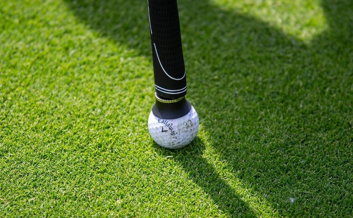 Longridge Mini Ball Pickup ramasse-balles