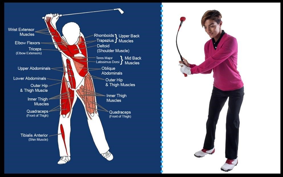Pure 2 Improve Pure2Improve Tempo Trainer (122cm / 48")