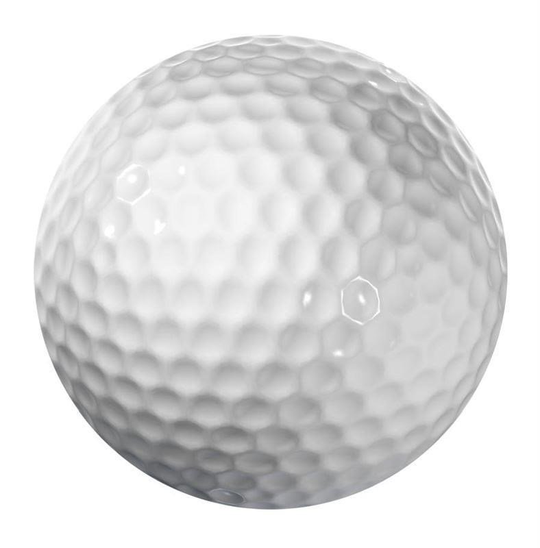 Longridge Blank 2-Piece balles de golf