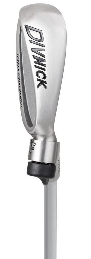 Divnick Golf Adjustable Telescopic "Whole-In-One" fers, acier