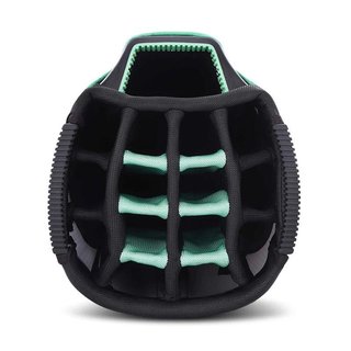 Big Max Terra Sport cart bag, blanc/argent/menthe