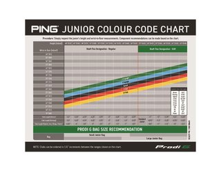 PING Prodi G Tyne H junior putter, acier