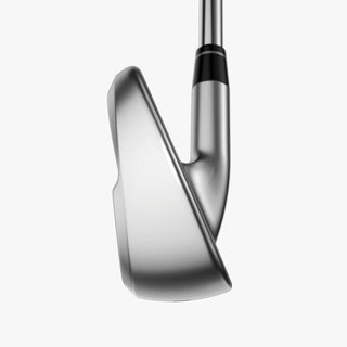 Callaway Apex Ai300 fers homme, graphite