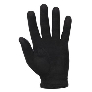 FootJoy RainGrip 24 gant de golf homme, noir