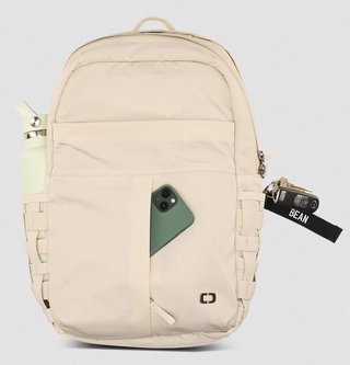 Ogio Rise Backpack 20L frost sac