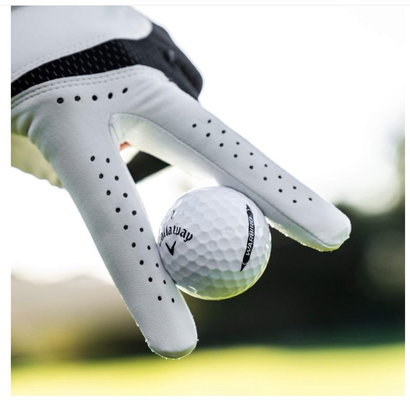 Callaway Warbird Distance+ balles de golf