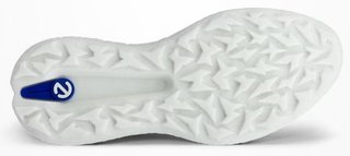 Ecco Biom H5 chaussures de golf homme, blanches