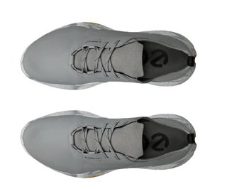 Ecco Biom H5 chaussures de golf homme, grises