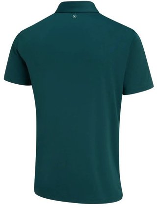 PING Hall polo homme, vert forêt/vert brumeux
