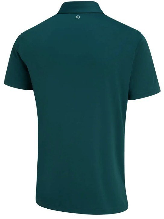 PING Hall polo homme, vert forêt/vert brumeux