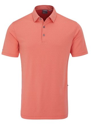 PING Hershel polo homme, dubarry multi