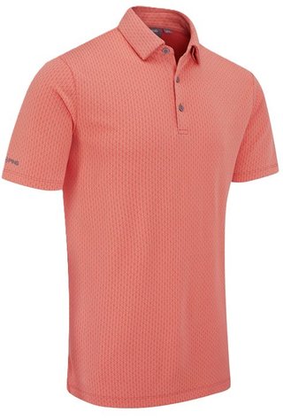 PING Hershel polo homme, dubarry multi