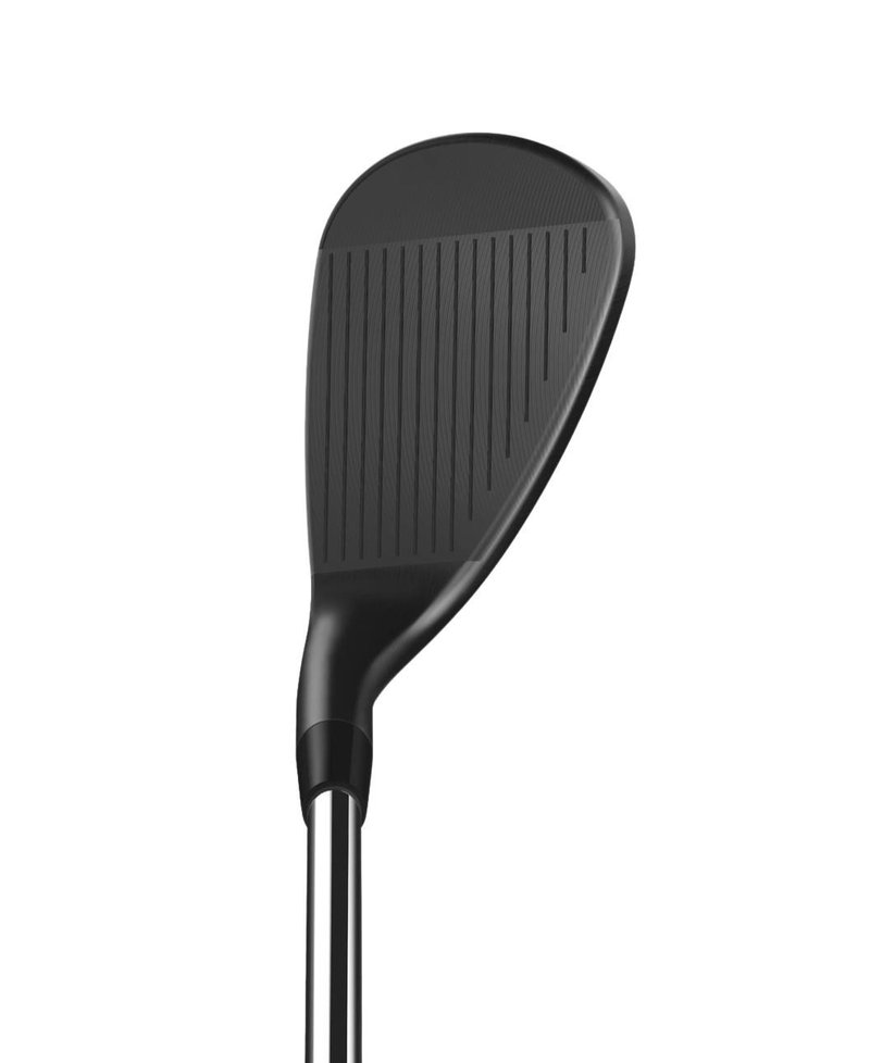 Wilson Infinite wedge homme, acier