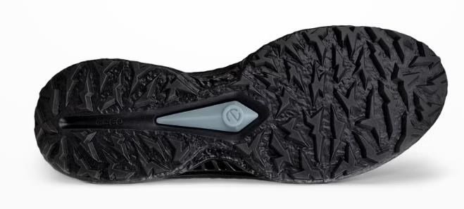 Ecco Biom C5 chaussures de golf homme, noires