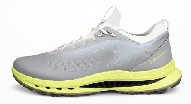 Ecco Biom C5 chaussures de golf homme, grises