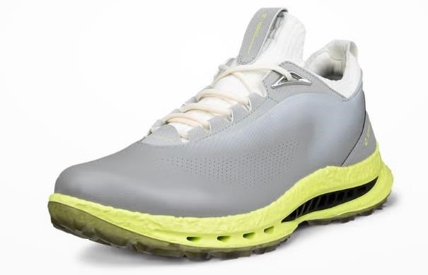 Ecco Biom C5 chaussures de golf homme, grises
