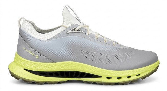 Ecco Biom C5 chaussures de golf homme, grises