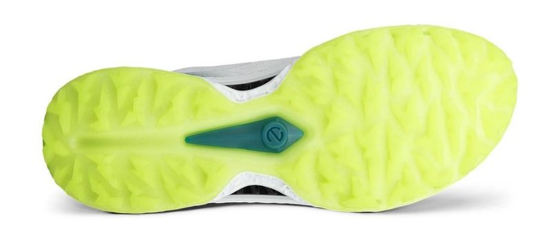 Ecco Biom C5 BOA chaussures de golf homme, blanches