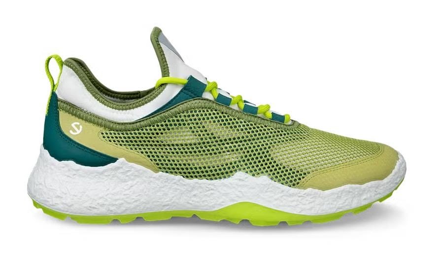 Ecco Biom H5 chaussures de golf homme, vertes