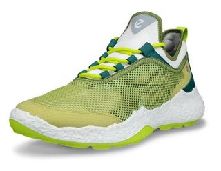 Ecco Biom H5 chaussures de golf homme, vertes