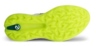 Ecco Biom H5 chaussures de golf homme, vertes