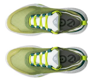 Ecco Biom H5 chaussures de golf homme, vertes