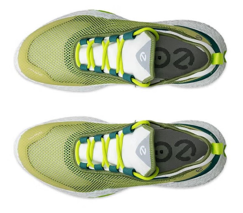 Ecco Biom H5 chaussures de golf homme, vertes