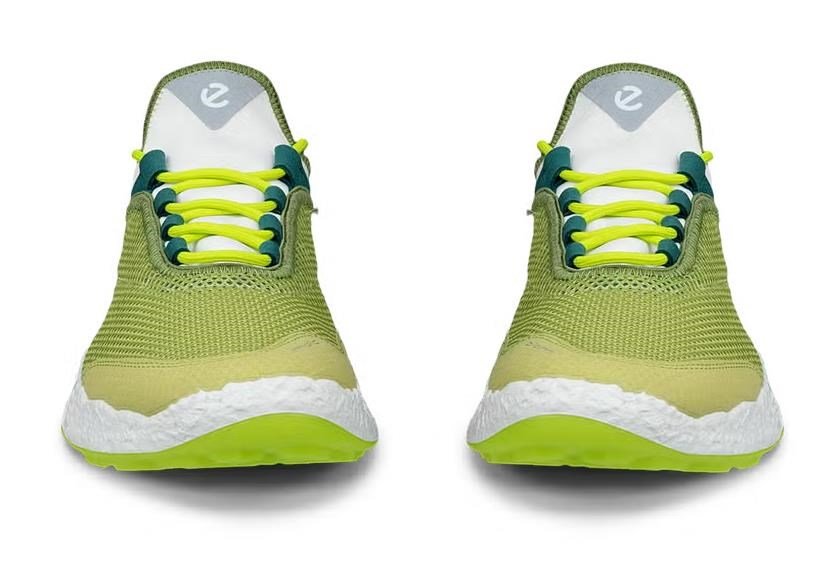 Ecco Biom H5 chaussures de golf homme, vertes