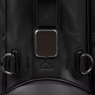 Titleist Linkslegend Members stand bag, noir