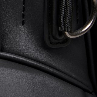 Titleist Linkslegend Members stand bag, noir