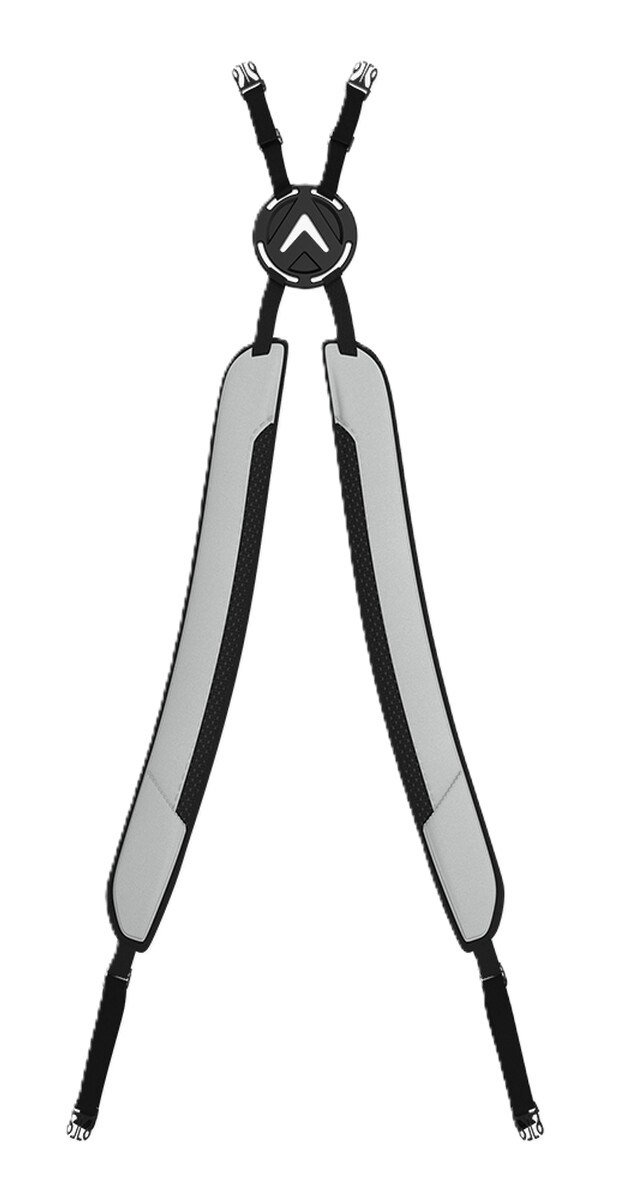 Callaway Fairway C stand bag, silver/cardinal