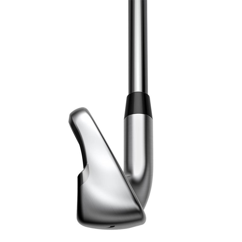Cobra Golf Cobra KING MAX fers, graphite