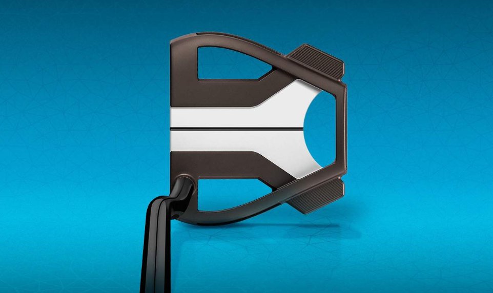 TaylorMade PT-X TruePath DB putter