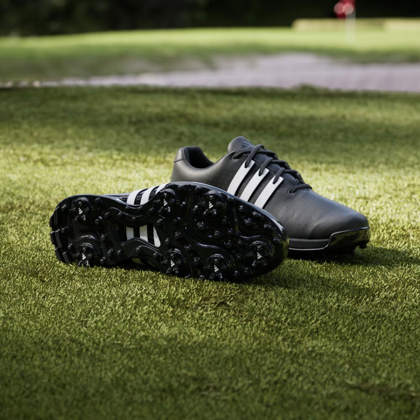 Adidas Tour360 24 chaussures de golf homme, noir