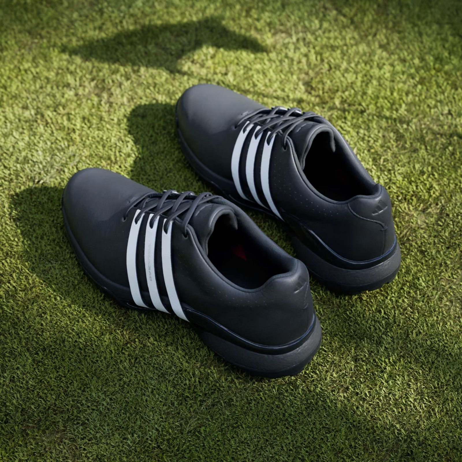 Adidas Tour360 24 chaussures de golf homme, noir