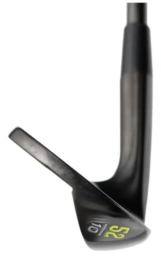 HEAD Golf Forged wedge, acier