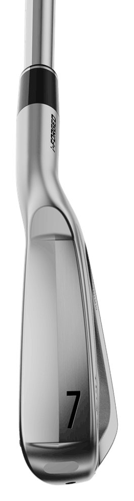 Srixon ZXi5+ fers homme, graphite
