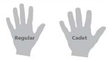 Comparaison des coupes de gants Cadet vs Regular